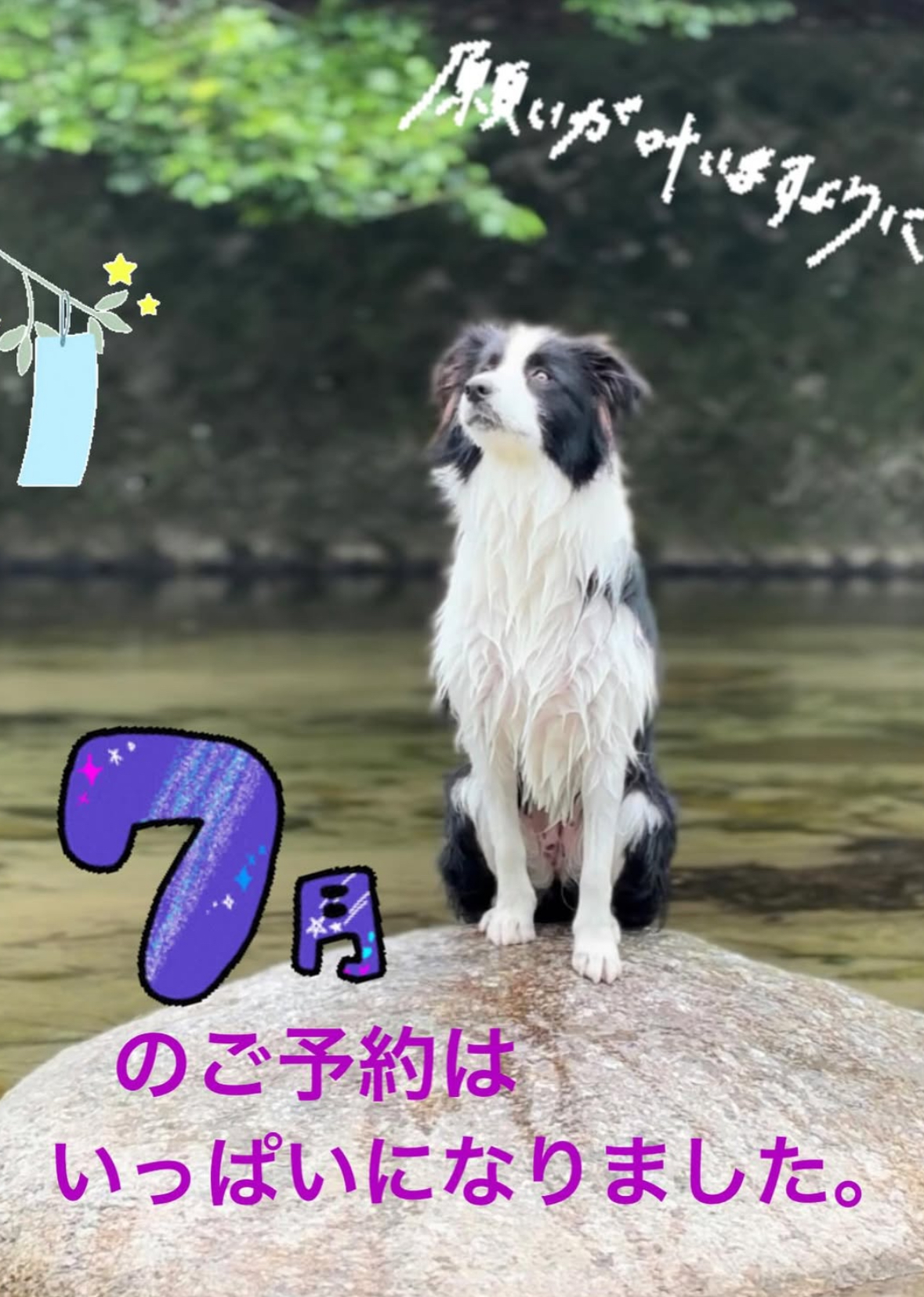 7月の営業予定です^ ^よろしくお願いします🏵️