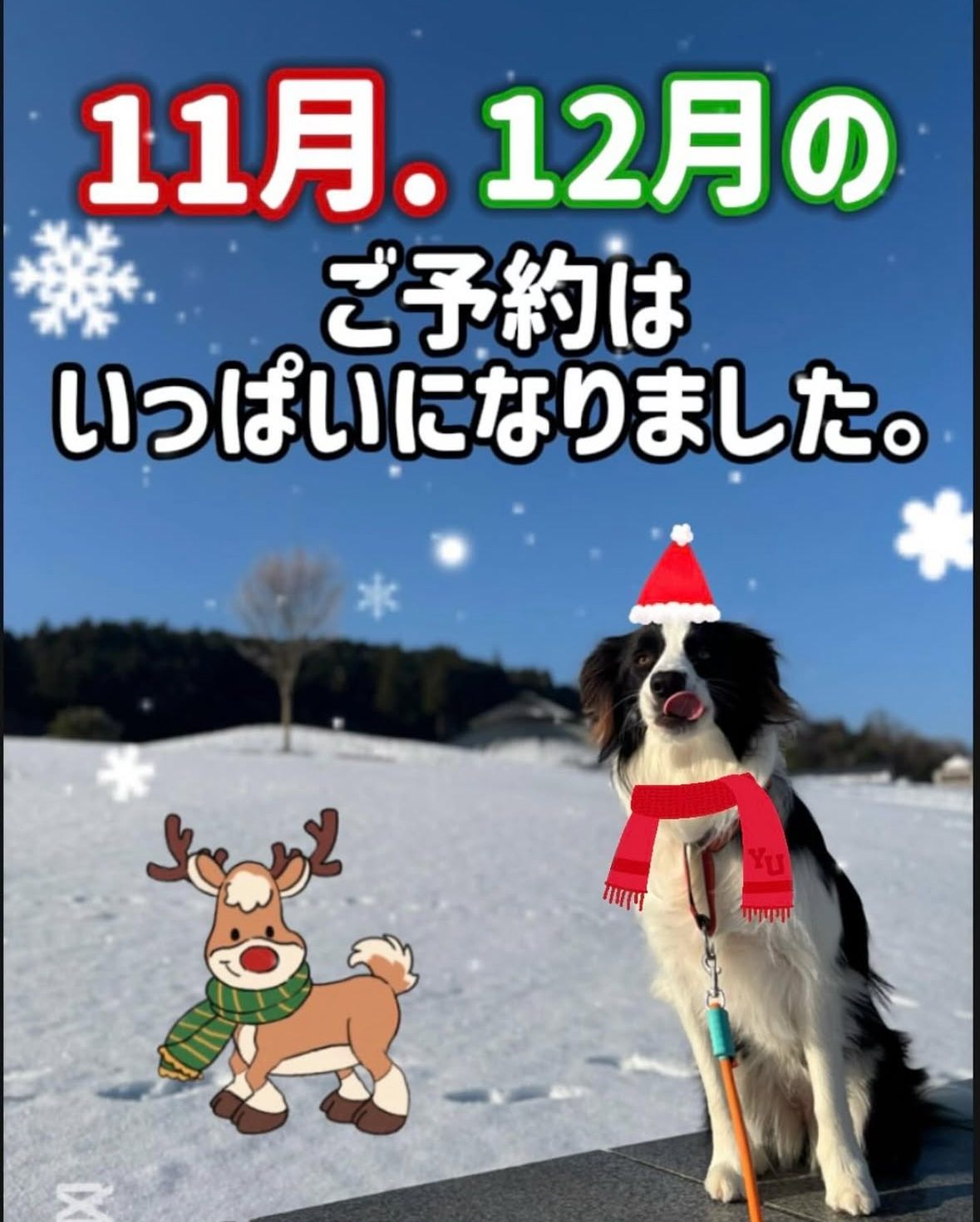 7月の営業予定です^ ^よろしくお願いします🏵️